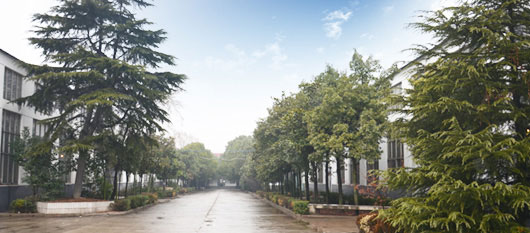 �y(c��)ԇ�ÈDƬ